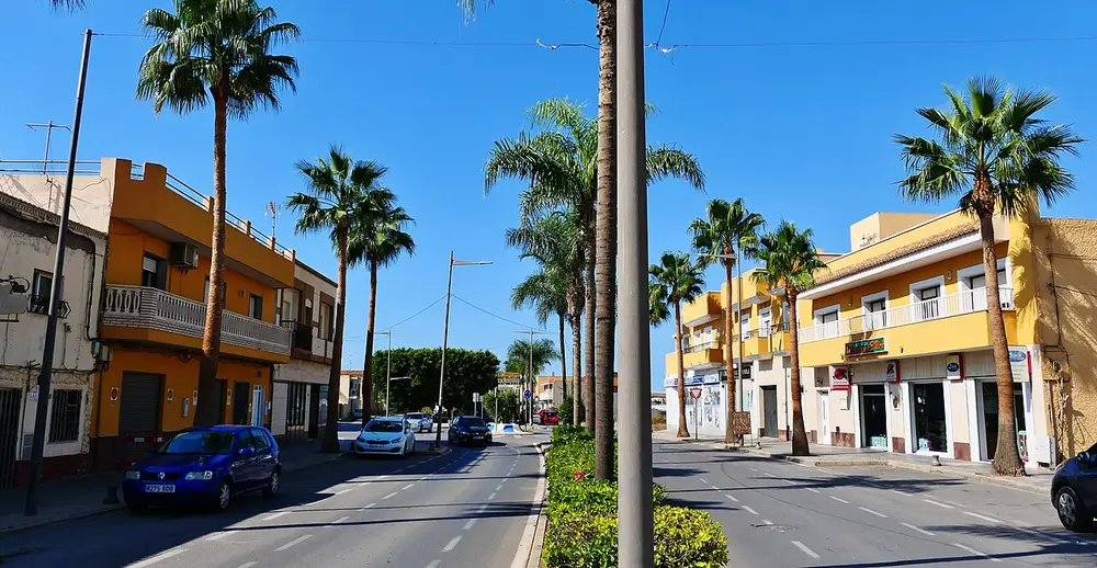 Avenida principal de La Mojonera con palmeras